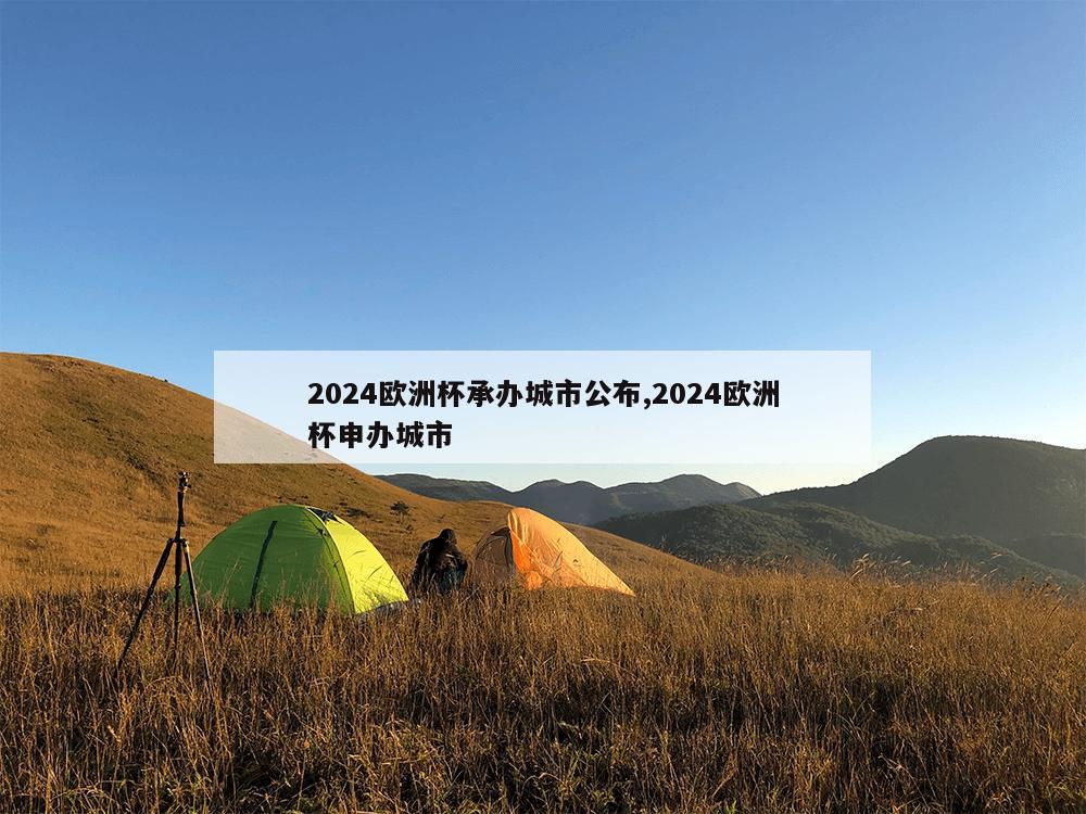 2024欧洲杯承办城市公布,2024欧洲杯申办城市