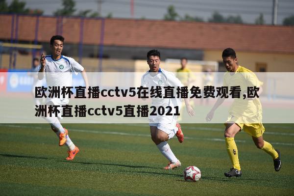 欧洲杯直播cctv5在线直播免费观看,欧洲杯直播cctv5直播2021