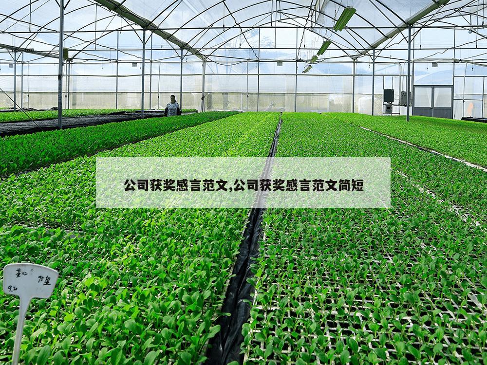 公司获奖感言范文,公司获奖感言范文简短