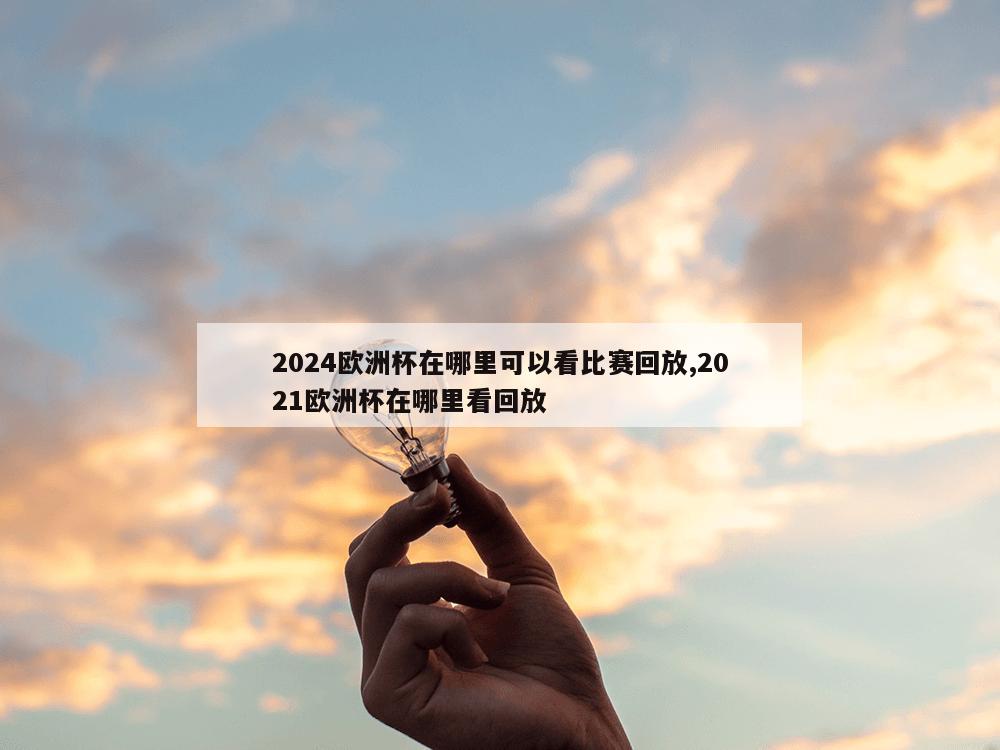 2024欧洲杯在哪里可以看比赛回放,2021欧洲杯在哪里看回放