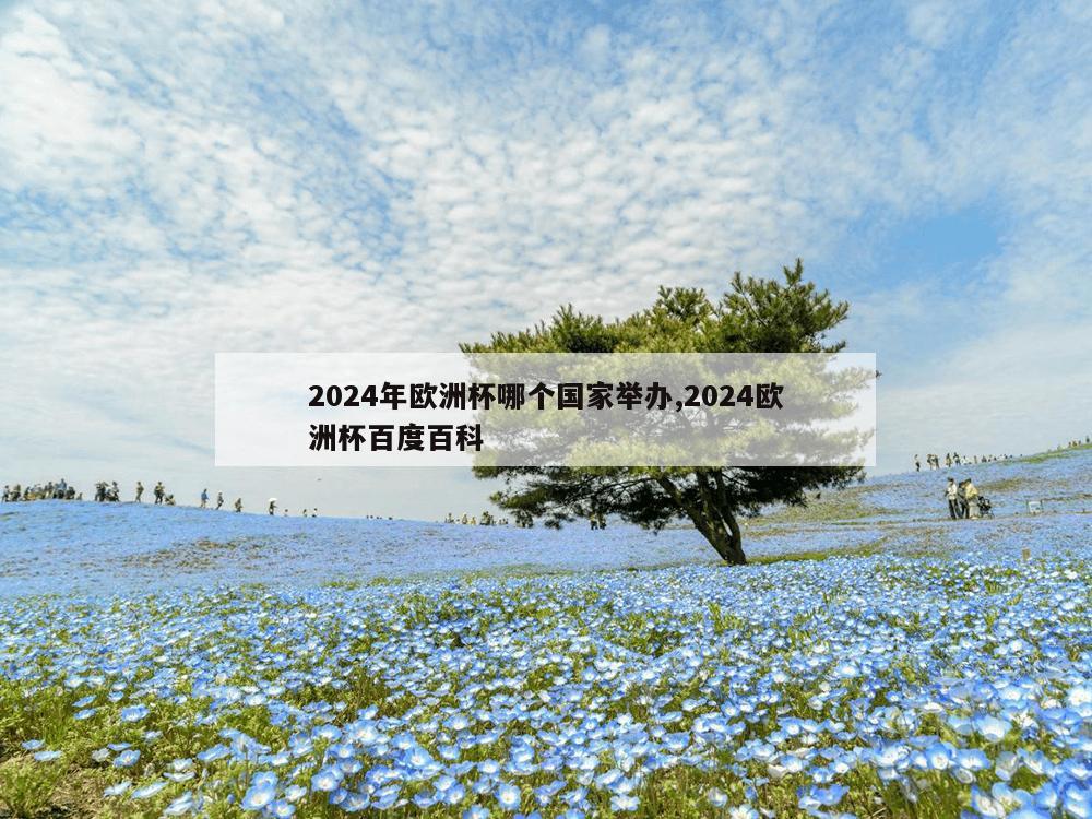 2024年欧洲杯哪个国家举办,2024欧洲杯百度百科