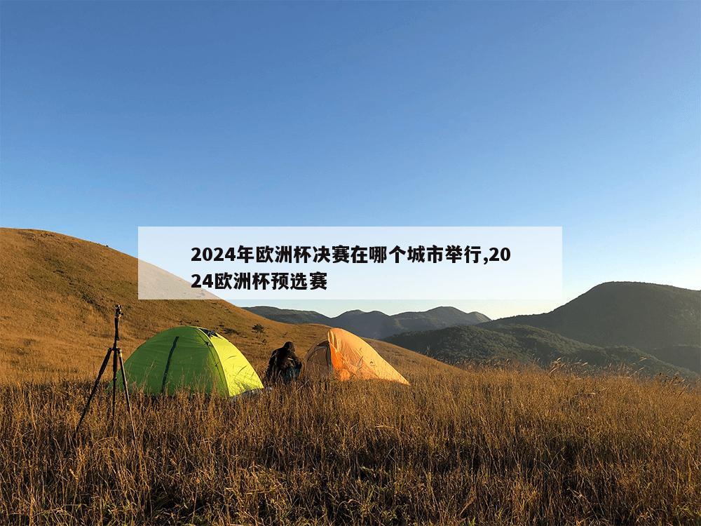 2024年欧洲杯决赛在哪个城市举行,2024欧洲杯预选赛