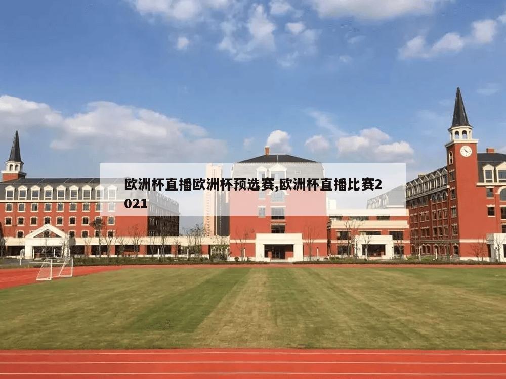 欧洲杯直播欧洲杯预选赛,欧洲杯直播比赛2021