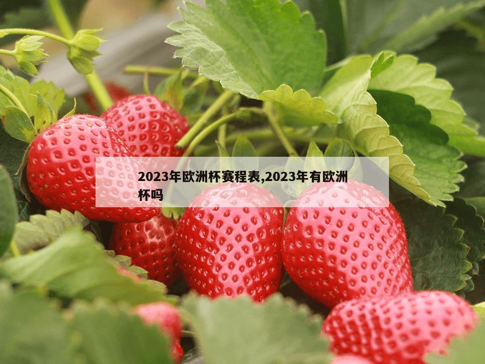 2023年欧洲杯赛程表,2023年有欧洲杯吗