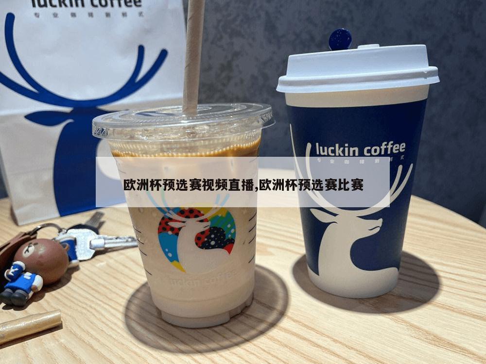 欧洲杯预选赛视频直播,欧洲杯预选赛比赛