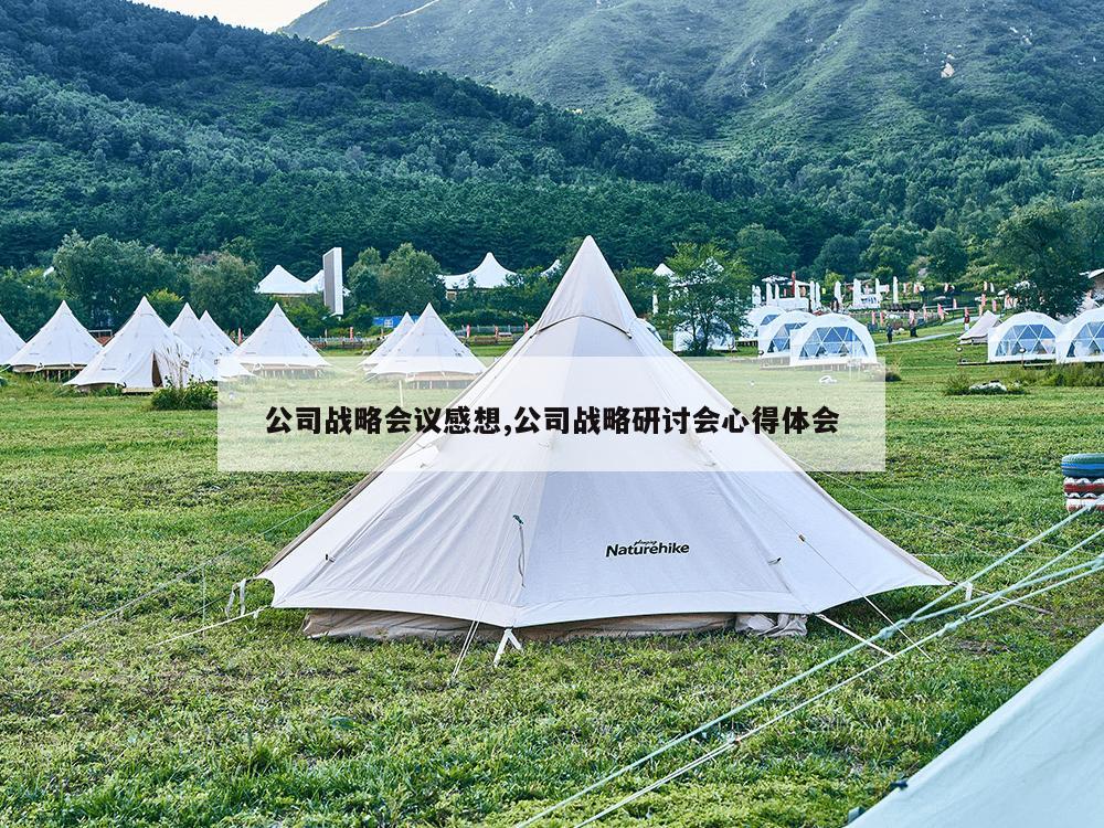 公司战略会议感想,公司战略研讨会心得体会