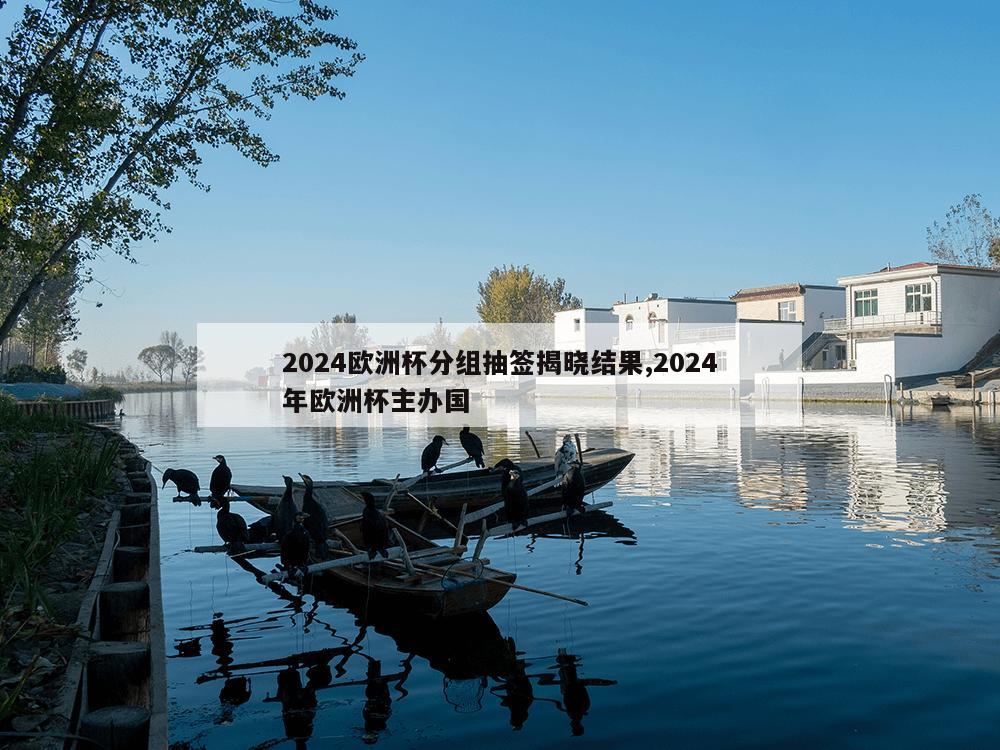 2024欧洲杯分组抽签揭晓结果,2024年欧洲杯主办国