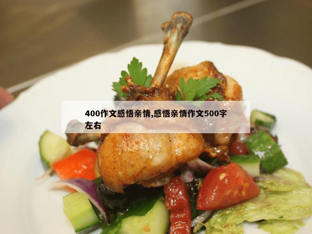 400作文感悟亲情,感悟亲情作文500字左右