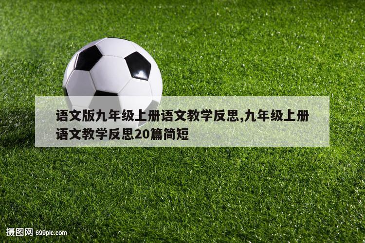 语文版九年级上册语文教学反思,九年级上册语文教学反思20篇简短