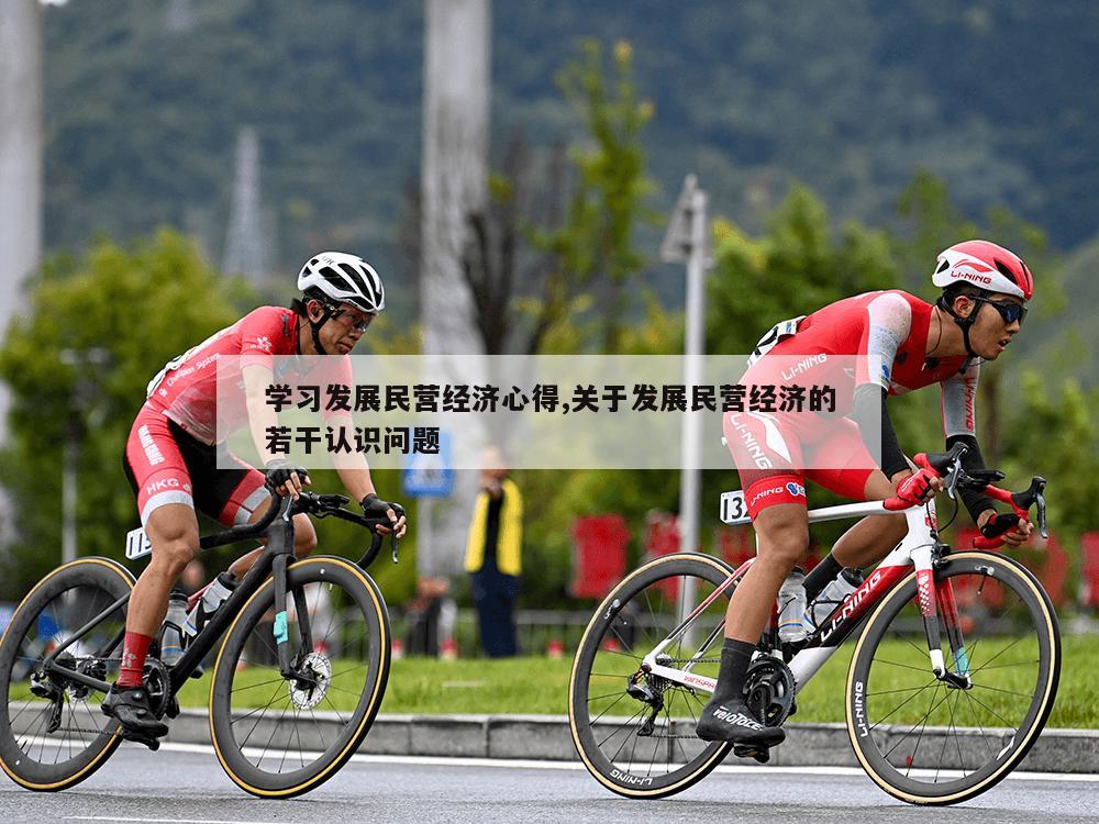 学习发展民营经济心得,关于发展民营经济的若干认识问题