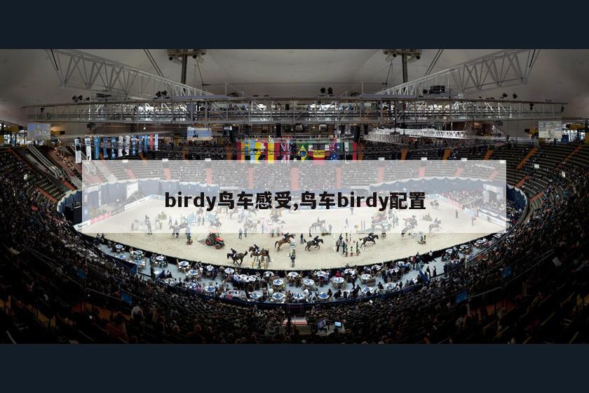 birdy鸟车感受,鸟车birdy配置