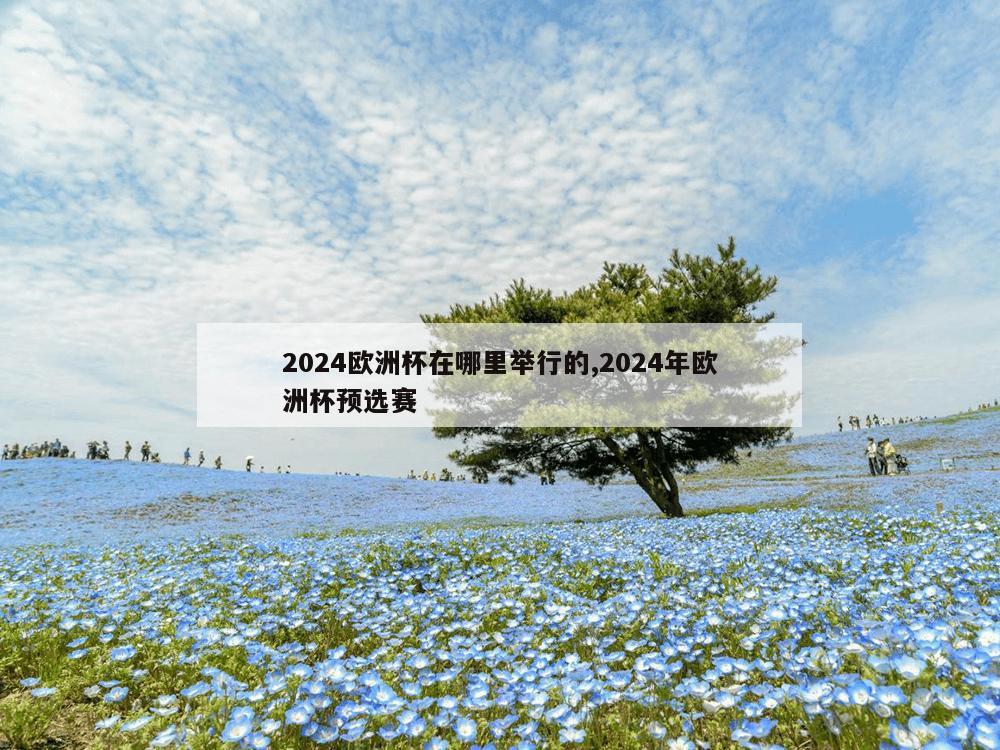 2024欧洲杯在哪里举行的,2024年欧洲杯预选赛