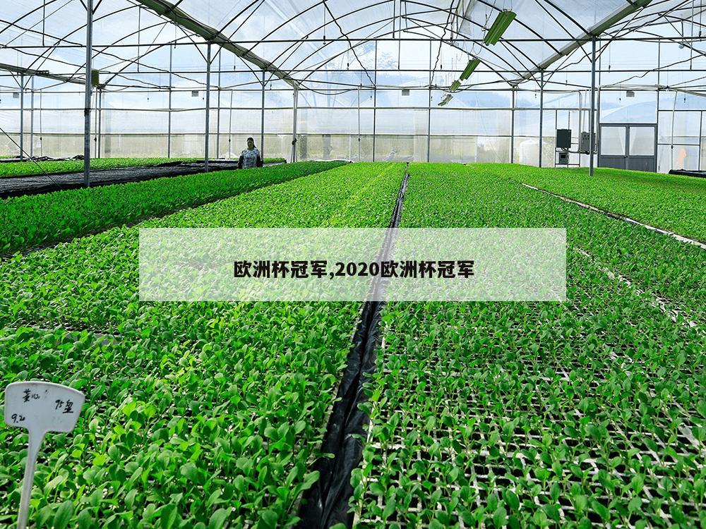 欧洲杯冠军,2020欧洲杯冠军